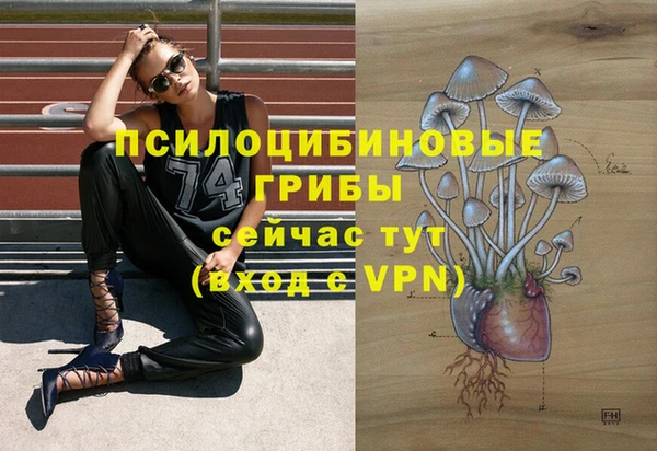 дмт Аркадак
