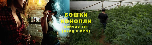 трава Армянск